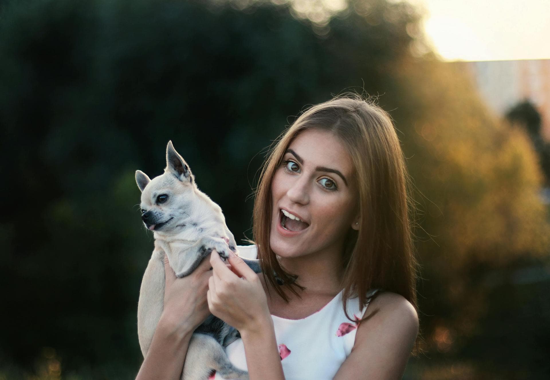 Vet Consultation Prices in Waltham Forest