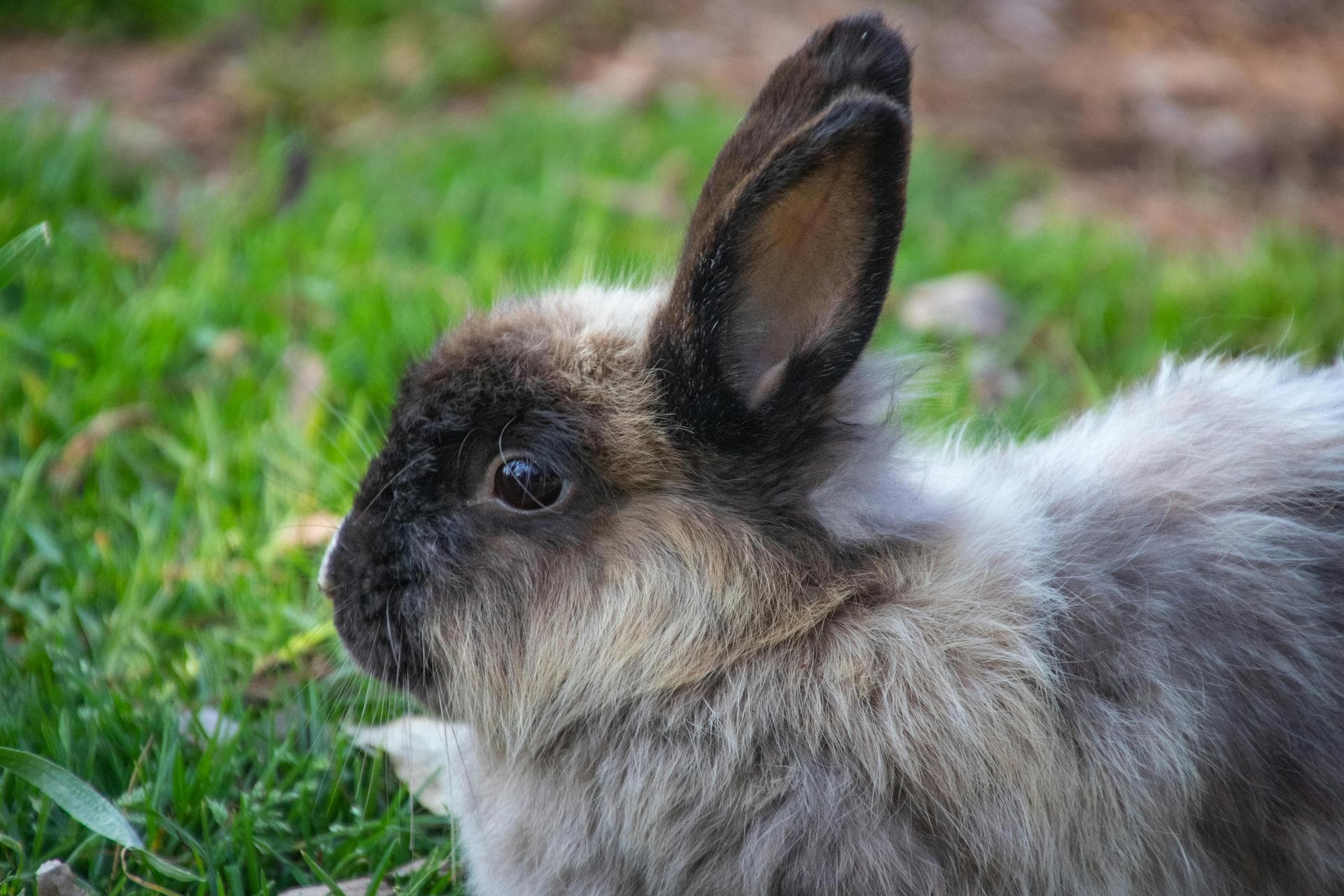 Farm & Large-Animal Vets near Waltham Forest